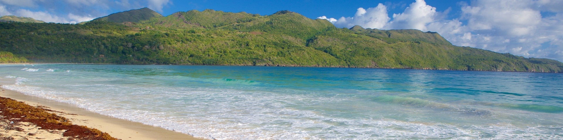 Playa RincĂłn mettant en vedette plage