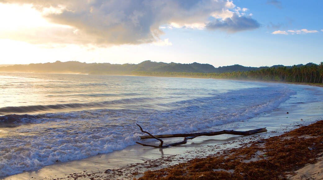 Rincon Beach which includes general coastal views