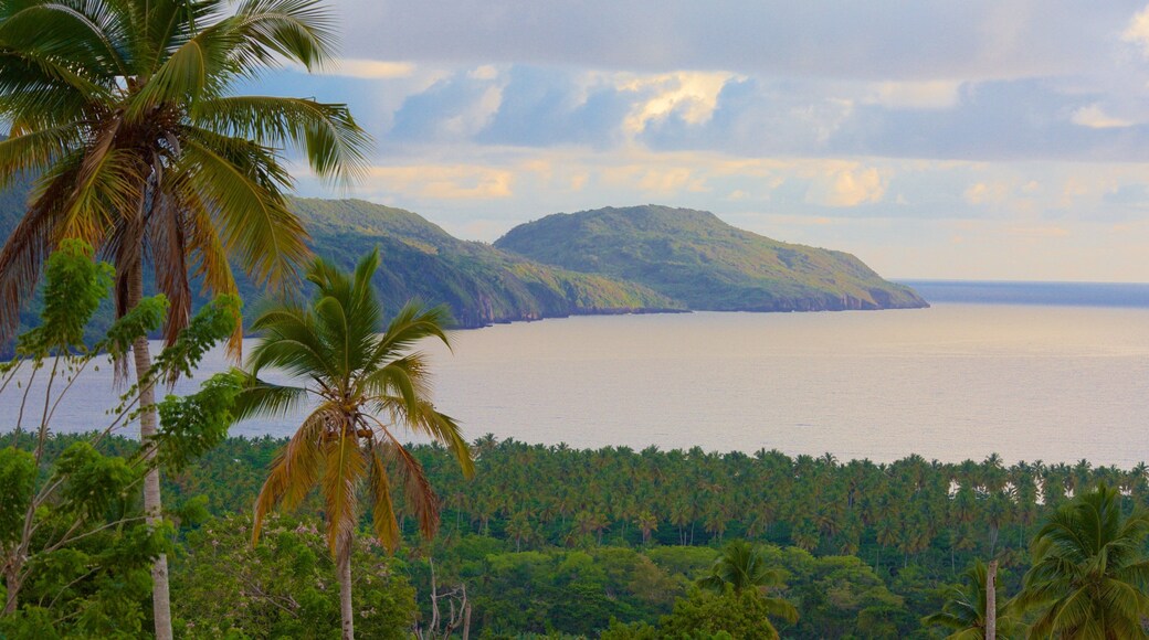 Rincon Beach which includes landscape views and general coastal views