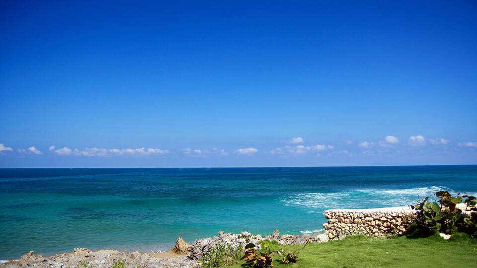 A coastal landscape with a clear blue sky, turquoise sea, and rocky shoreline with vegetation.