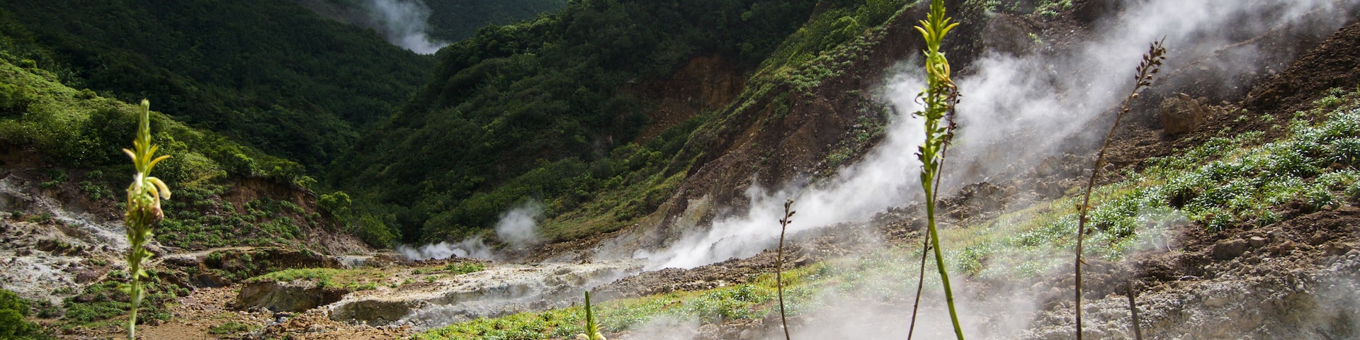 Un paysage montagneux avec une source de vapeur, des randonneurs et une végétation luxuriante.