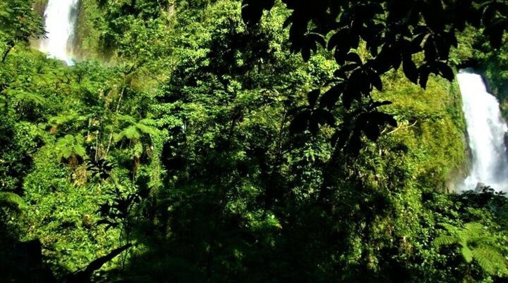 #TrafalgarFalls in #Dominica #Caribbean. Beautiful area. So peaceful and calm.
#LifeatExpedia
#Waterlust
#TreeTrove