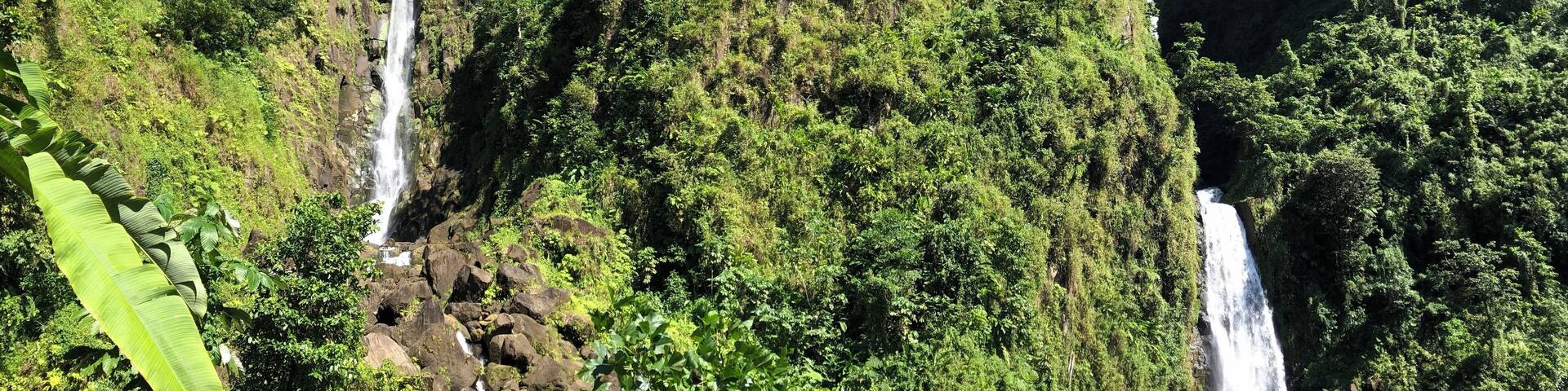 One of the many beautiful waterfalls on the island of Dominica. Hot baths, kind people and breathtaking hikes are the main interests of this island.