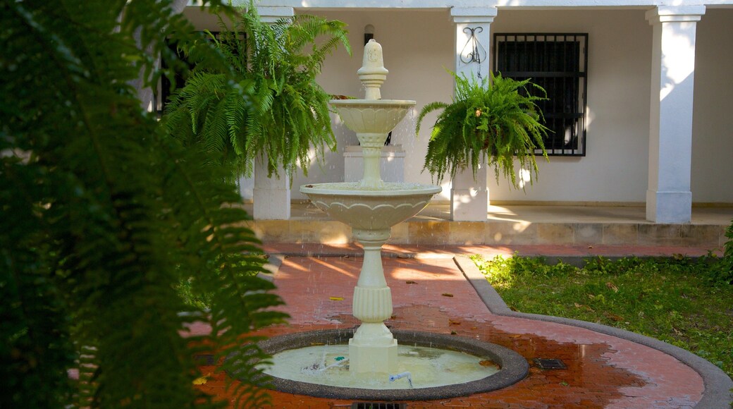 Quinta de San Pedro Alejandrino showing a fountain