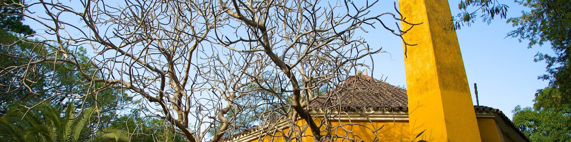 Quinta de San Pedro Alejandrino featuring heritage elements