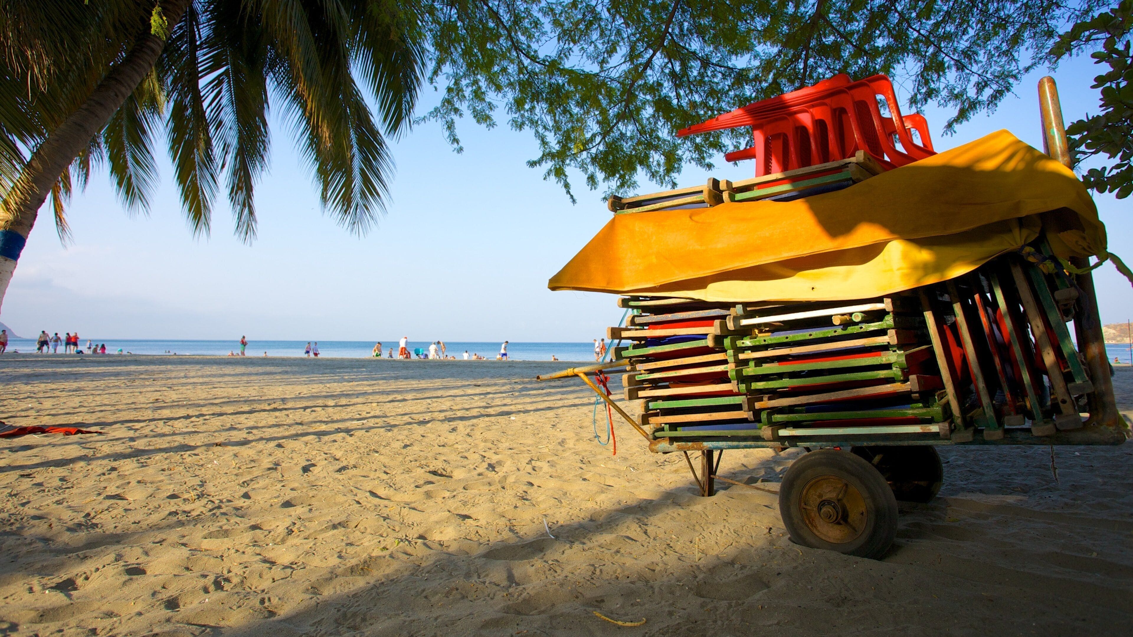 Rodadero Beach showing a sandy beach and tropical scenes