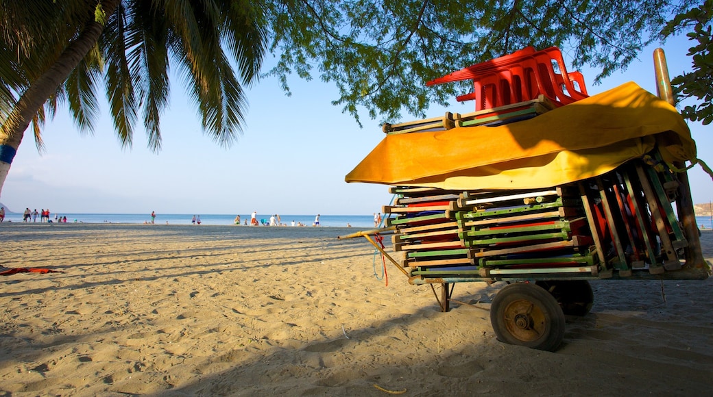 Rodadero Beach showing a sandy beach and tropical scenes