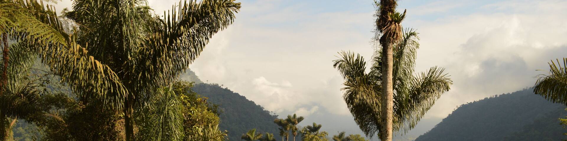 Hiking to Ciudad Perdida (The Lost City) in the jungle and mountains of Colombias Sierra Nevada de Santa Marta