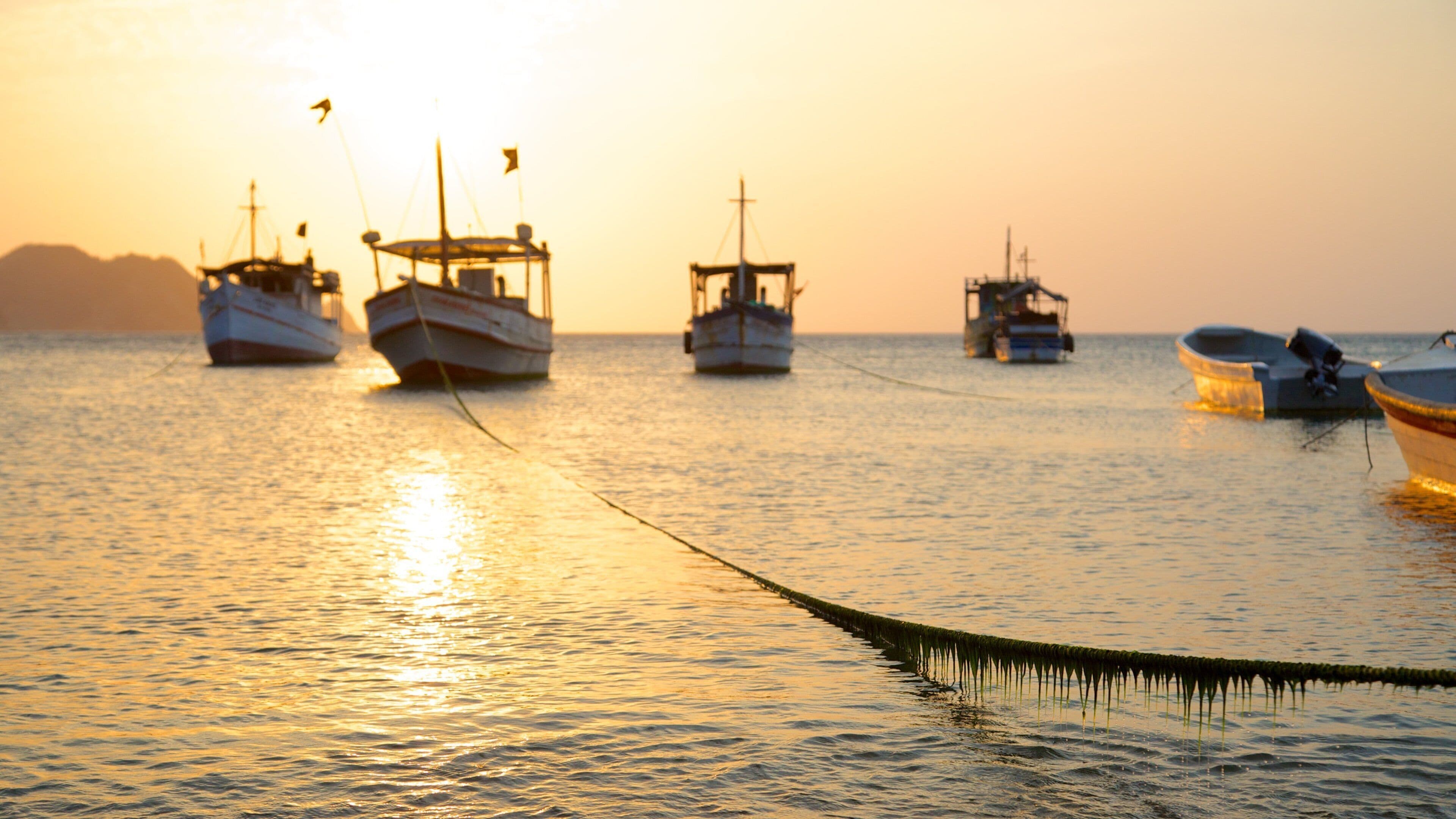 Playa Taganga mostrando un atardecer, una bahía o un puerto y botes