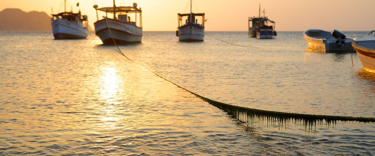 ํ๊ฐ๊ฐ ๋น์น ์ด ํฌํจ ํญ๊ตฌ ๋๋ ํญ๋ง, ๋ณดํธ ํ๊ธฐ ๊ณผ ์ผ๋ชฐ