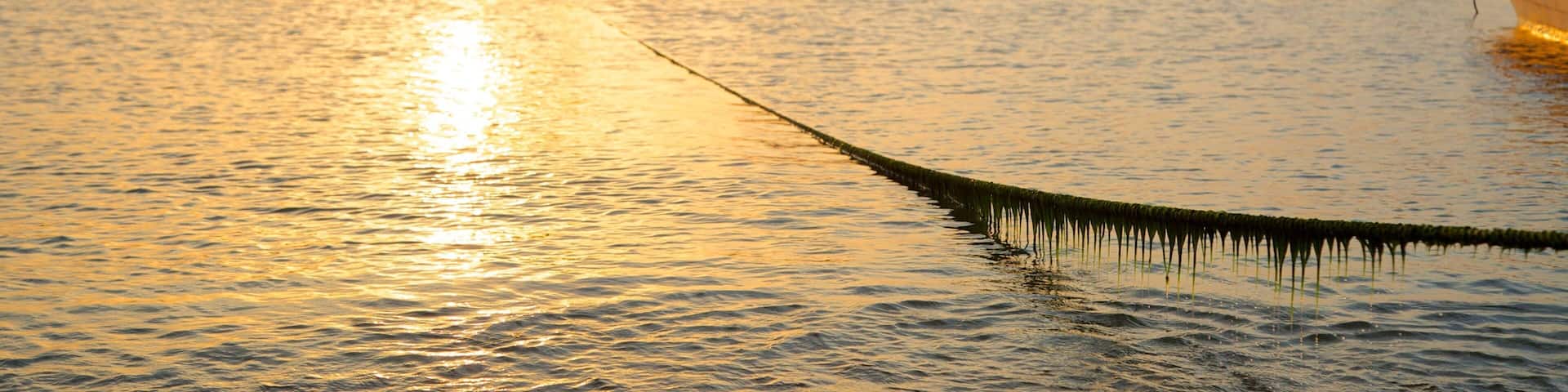 Taganga Beach which includes boating, a bay or harbor and a sunset