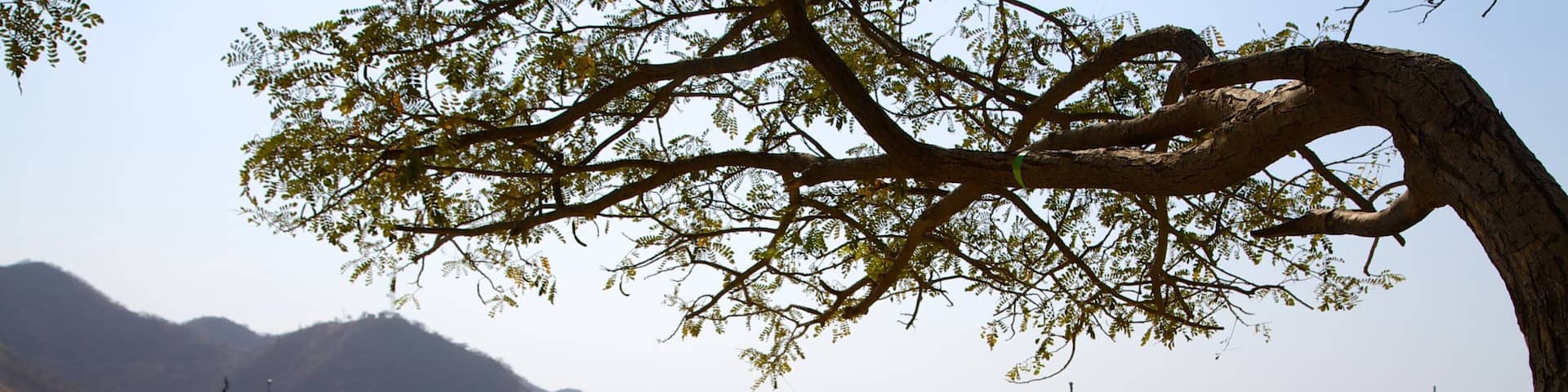 Taganga Beach featuring a beach, a bay or harbor and boating