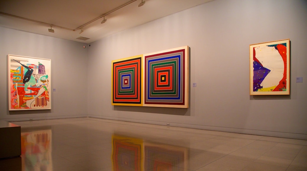 안티오키아 박물관 을 특징 실내 전경 과 예술