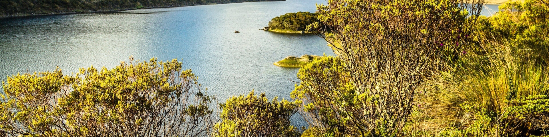 Los Nevados National Park which includes a lake or waterhole