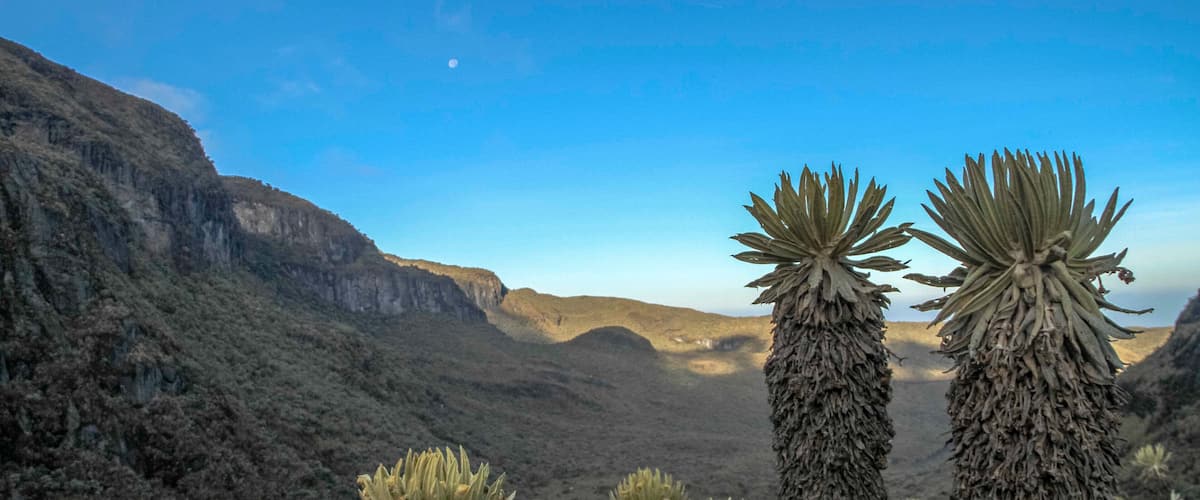 Los Nevados National Park showing desert views
