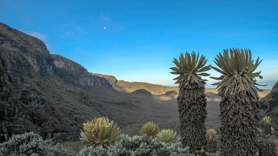 Los Nevados National Park showing desert views