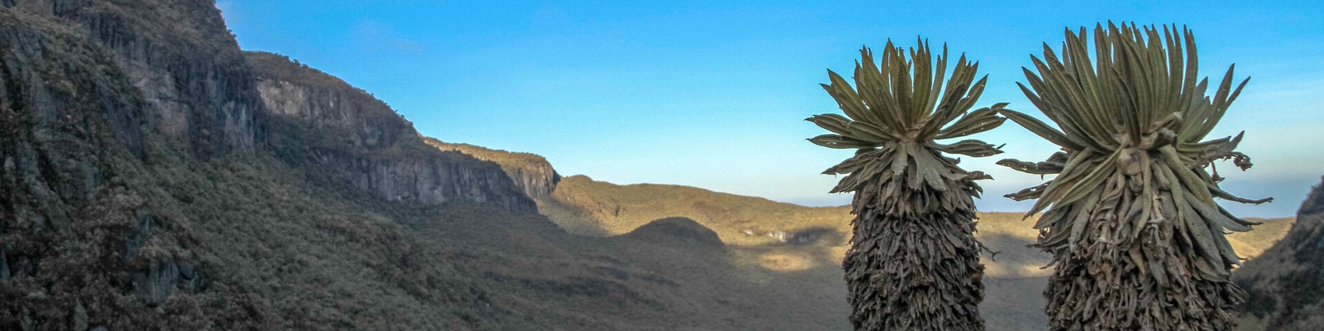 Los Nevados National Park showing desert views