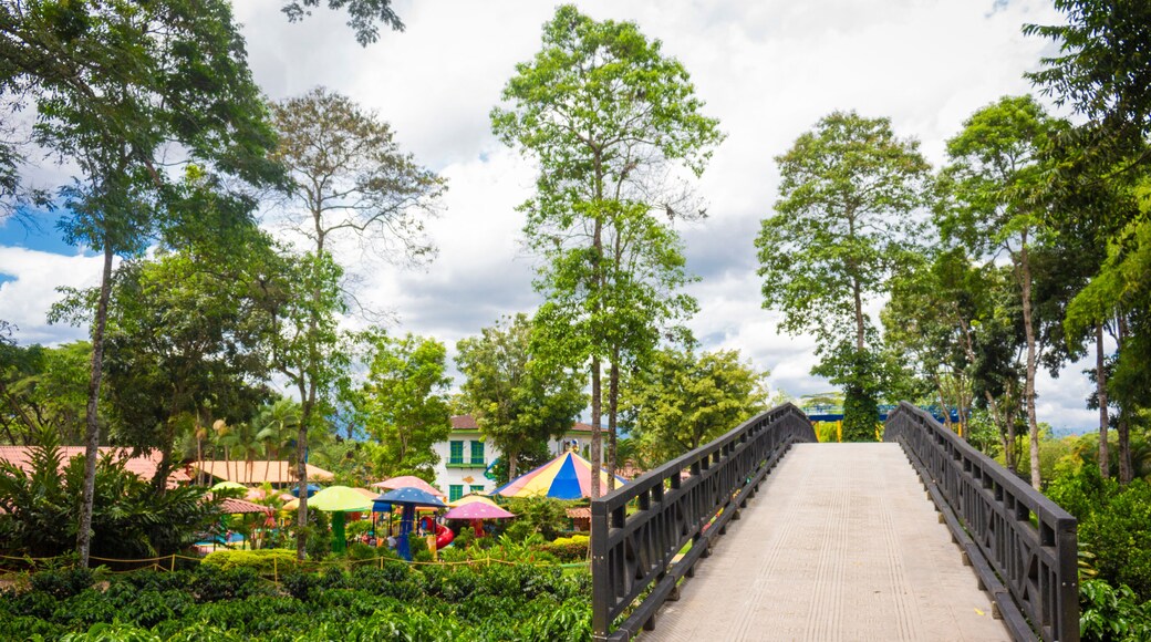 Montenegro, Quindío / Colombia. July22, 2016 Parque Del Cafe. Parque del cafe tourist site, Quindío, Armenia, Colombia