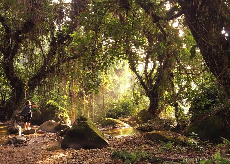 It's amazing to #takeahike trough the jungle of the Sierra Nevada de Santa Marta. The light, the trees, the water, the smells and sounds! Just magical #greatoutdoors #nature