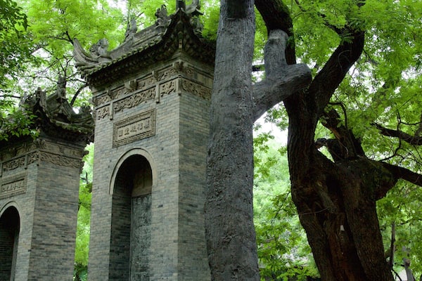 Giant Wild Goose Pagoda featuring a garden and a temple or place of worship
