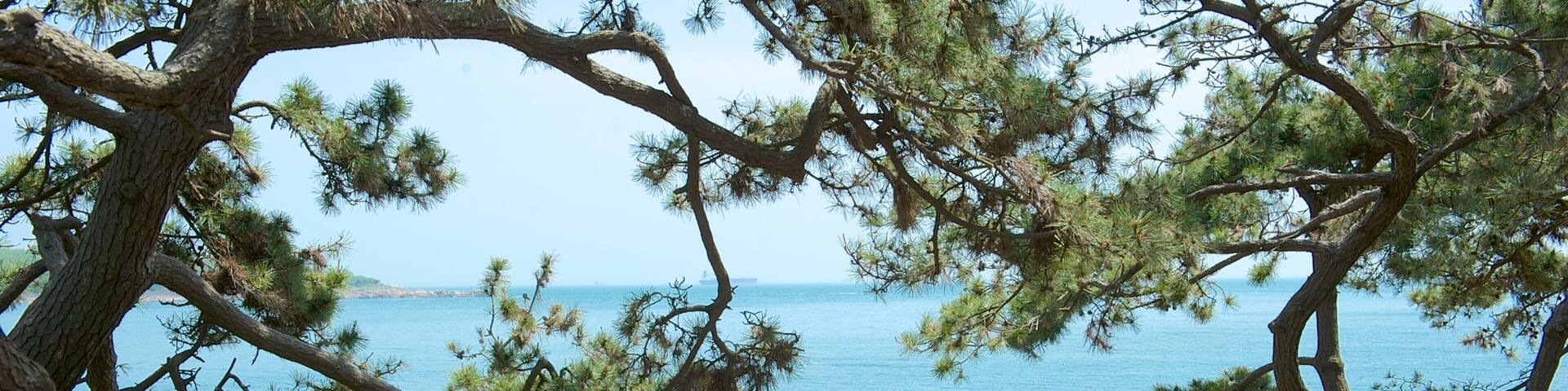 Lu Xun Park featuring general coastal views