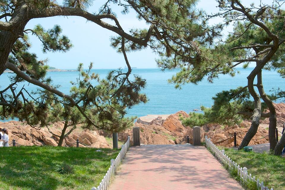A coastal pathway with pine trees, a clear blue sea, and rocky terrain.