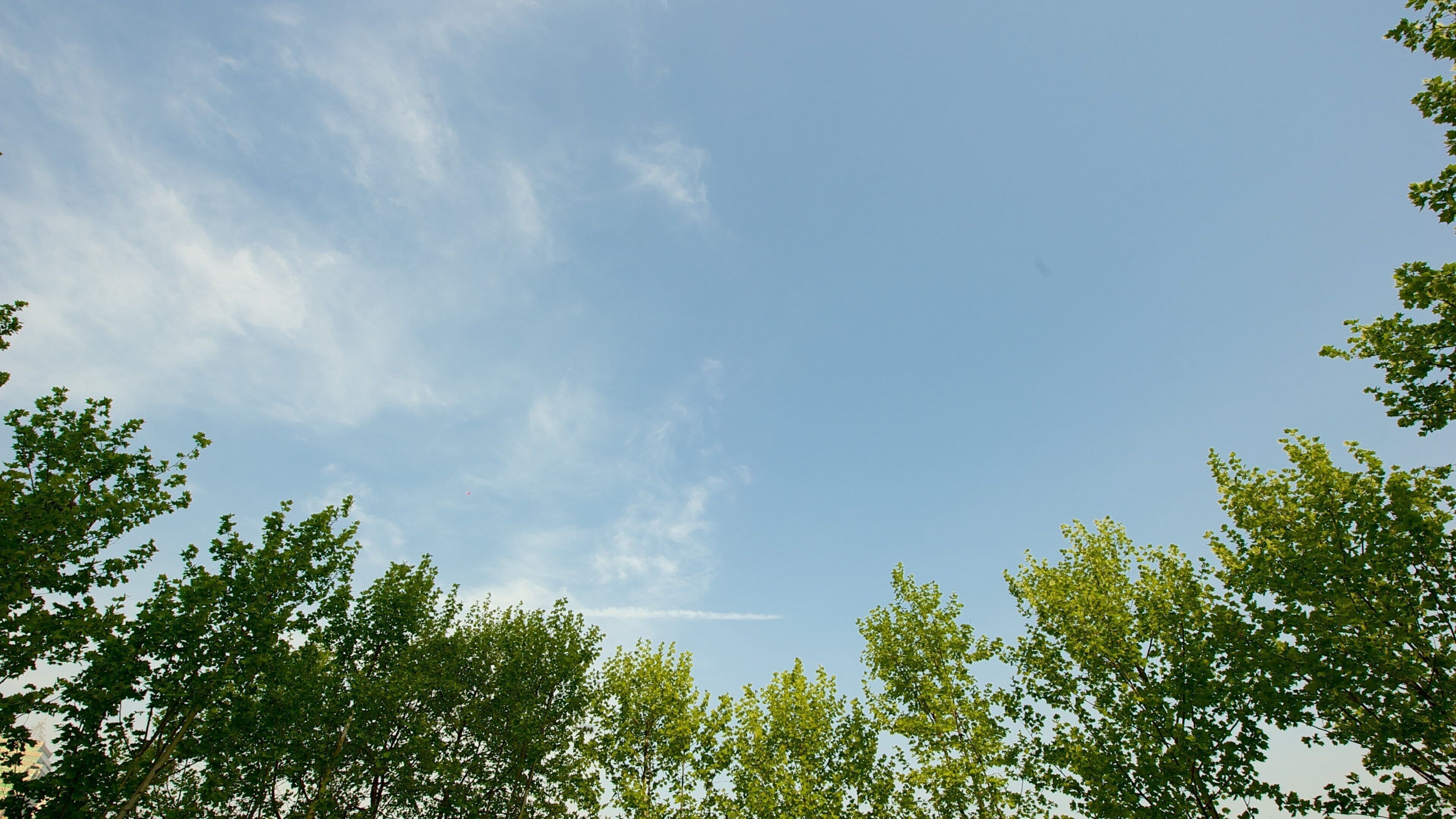 จัตุรัส May Fourth