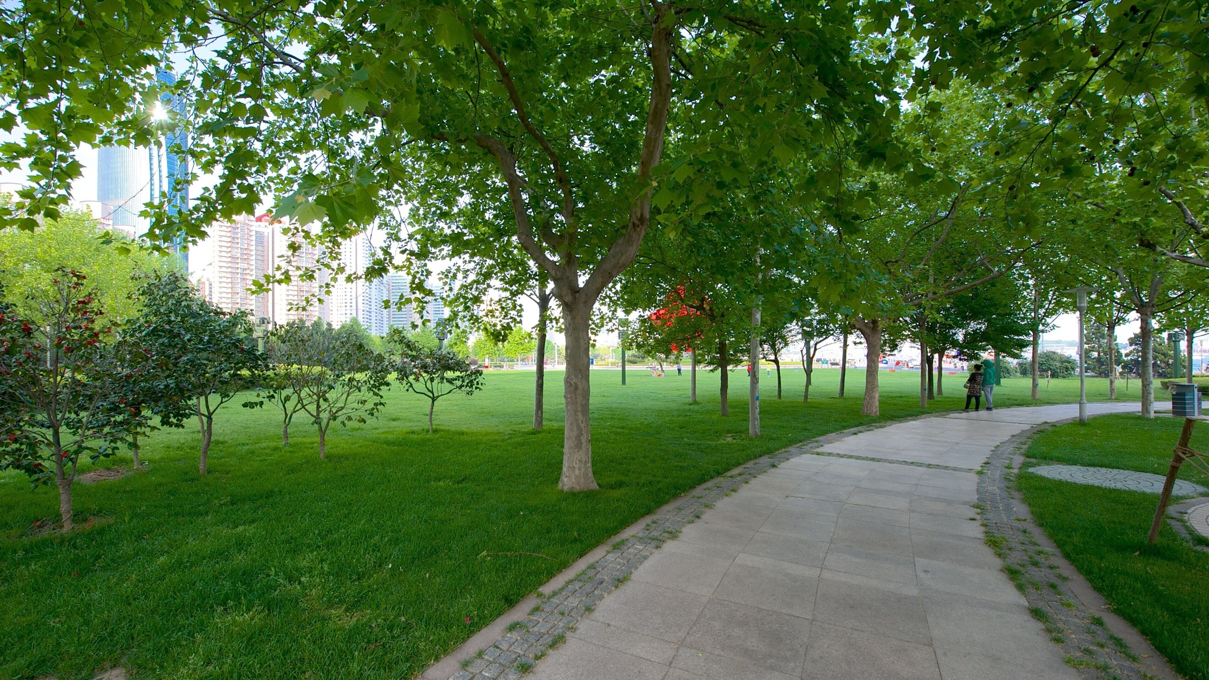 May Fourth Square featuring a park