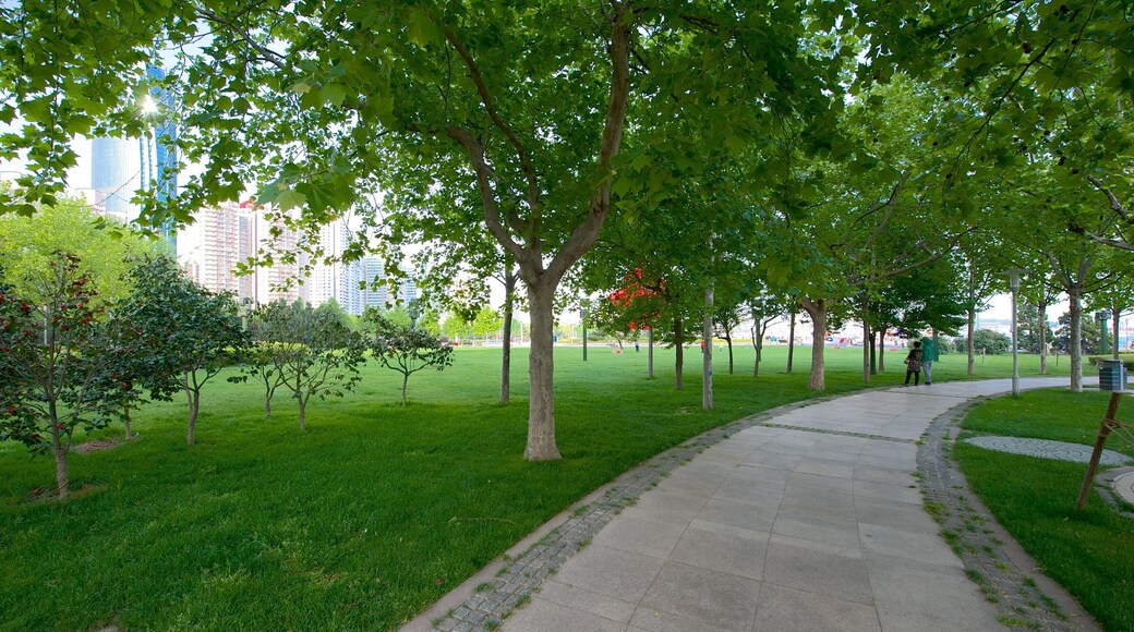 May Fourth Square featuring a park