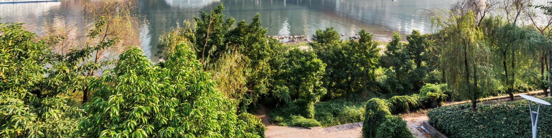 A city skyline with a river, a bridge, and greenery.