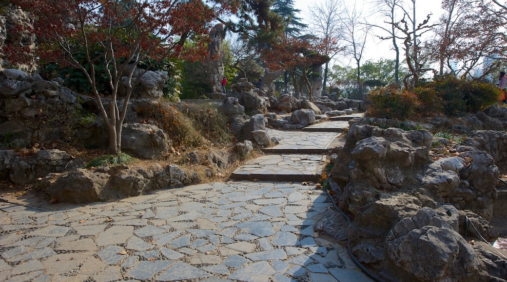 Xuan Wu Lake Park featuring a garden