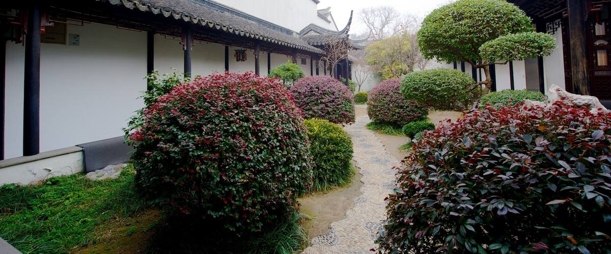 Suzhou Museum showing a park