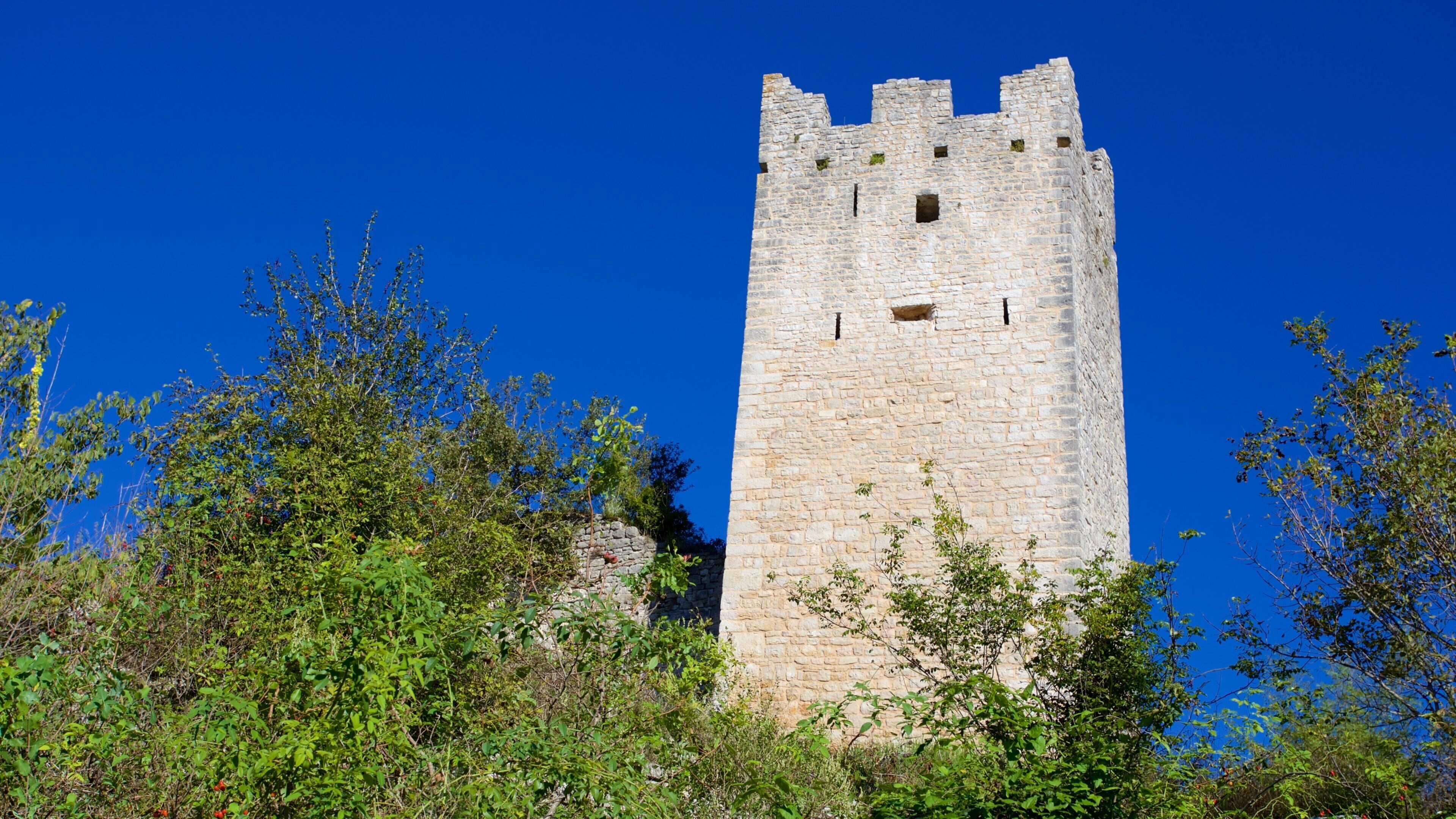 A tall stone tower with crenellations, surrounded by dense green foliage.