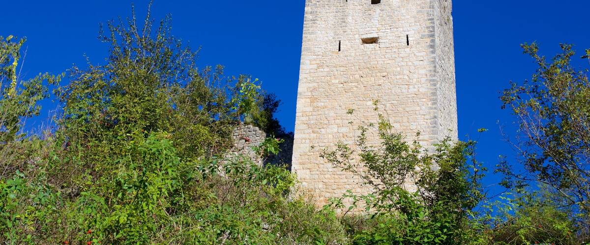 A tall stone tower with crenellations, surrounded by dense green foliage.