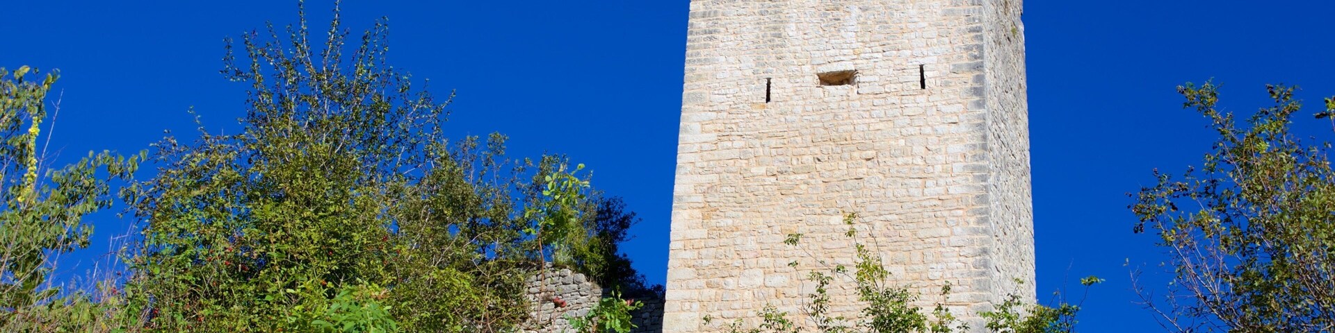 A tall stone tower with crenellations, surrounded by dense green foliage.