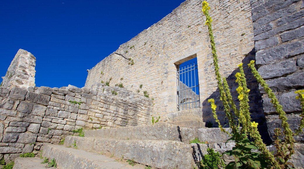 Dvigrad featuring building ruins