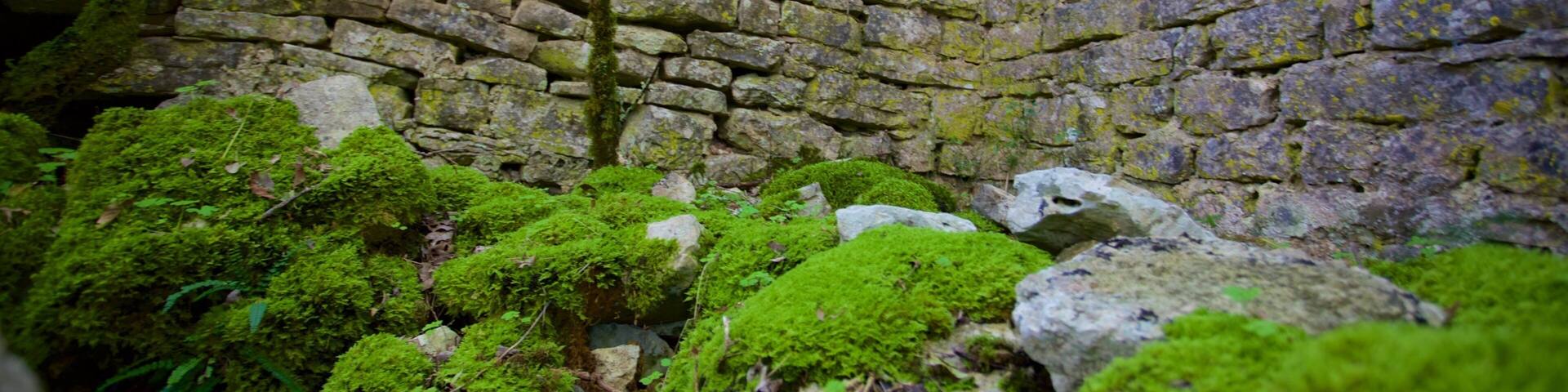 Dvigrad which includes building ruins