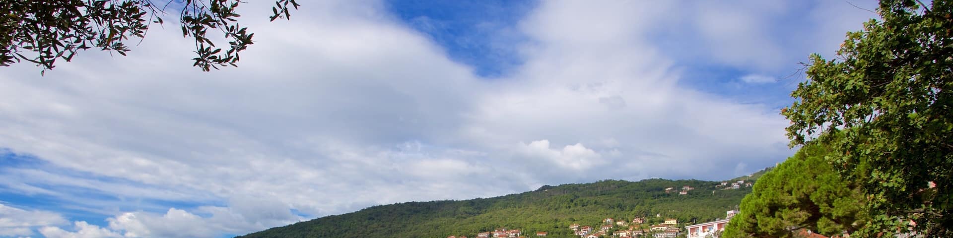 A coastal town with a clear blue sea, a yellow taxi boat docked at the pier, and buildings along the hillside.