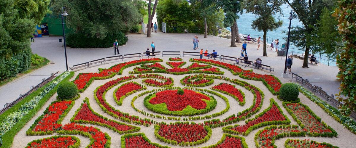 Park Angiolina showing a garden and flowers