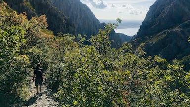 Hiking trail with stunning Adriatic Sea views coming down the mountain