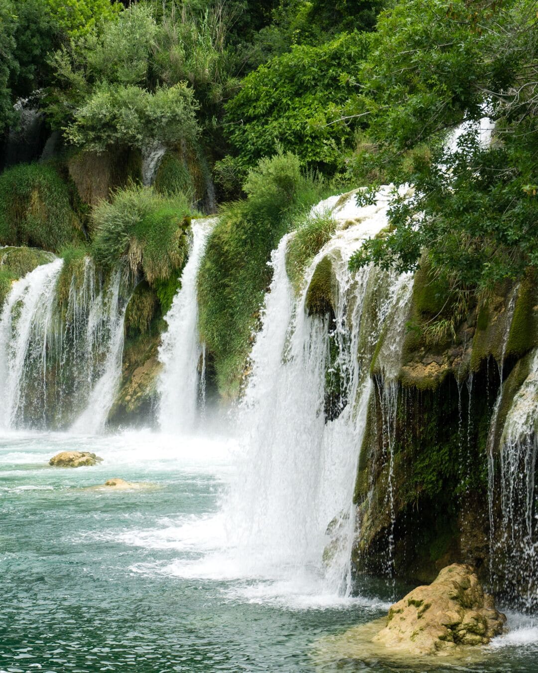 Ein Wasserfall stürzt über moosbewachsene Felsen in einen klaren Pool, umgeben von üppiger Vegetation.