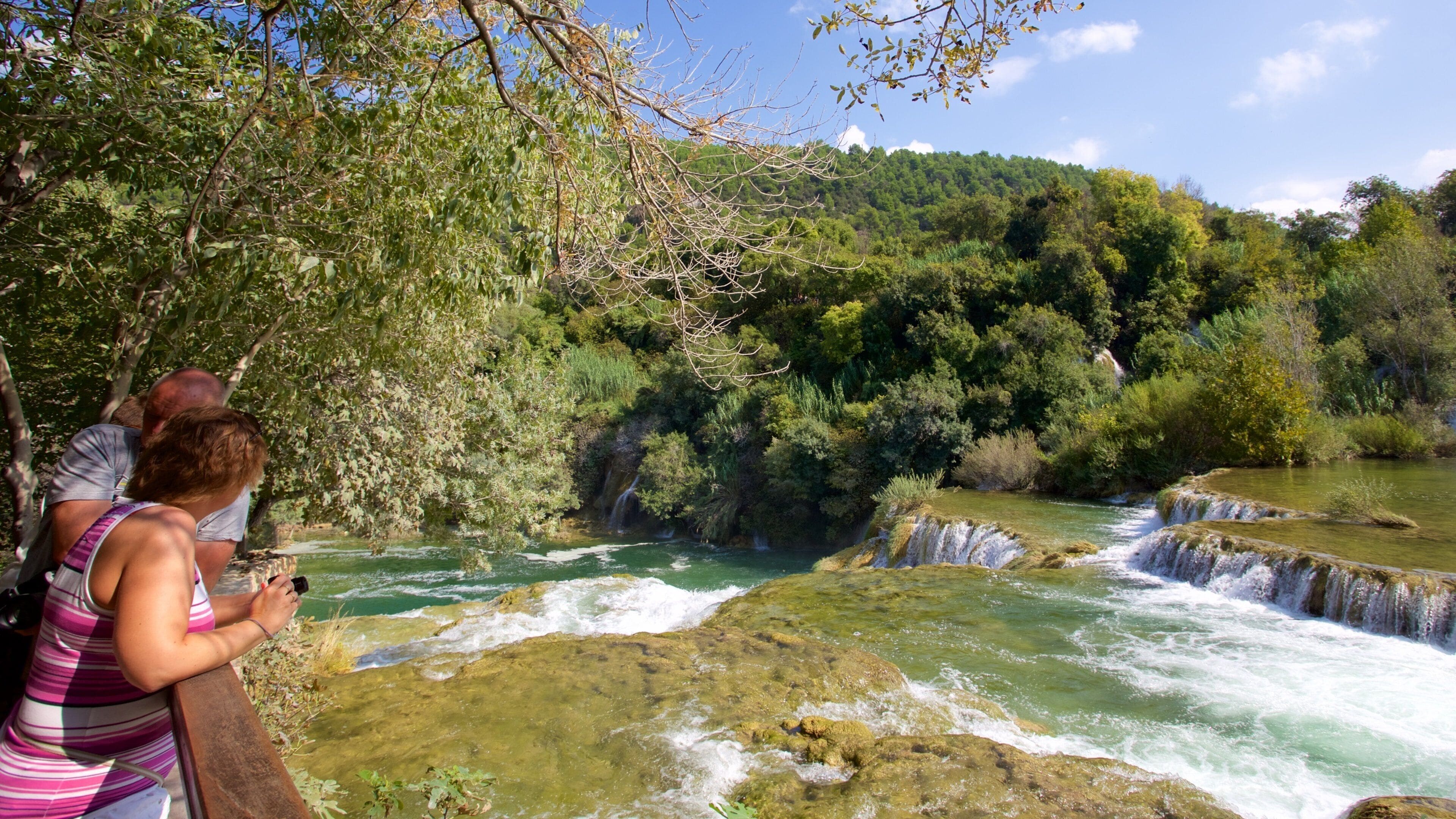 Un río con cascadas rodeado de bosque denso.