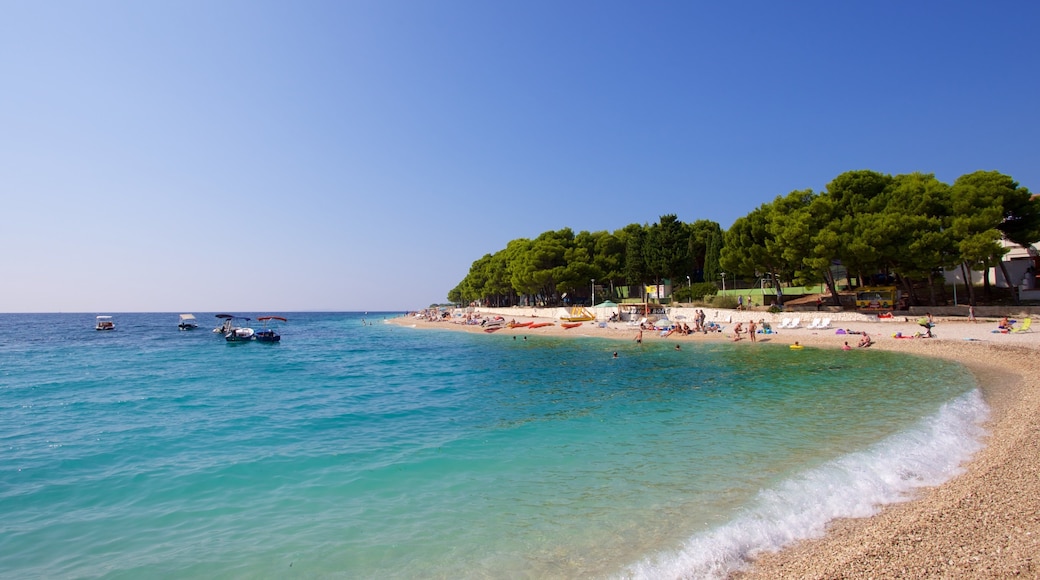 Primosten Beach featuring a pebble beach