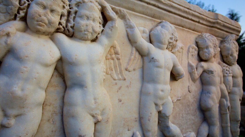 Salona Ruins featuring a ruin