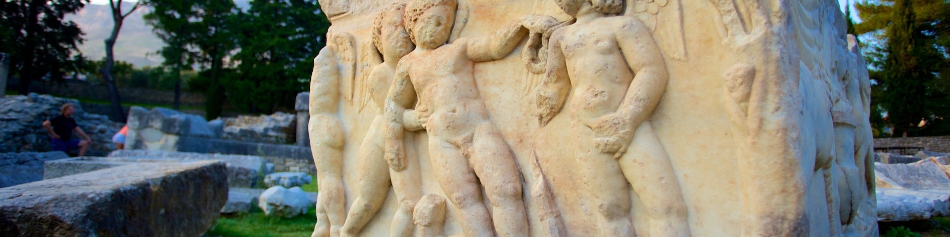 Salona Ruins featuring a ruin and heritage elements