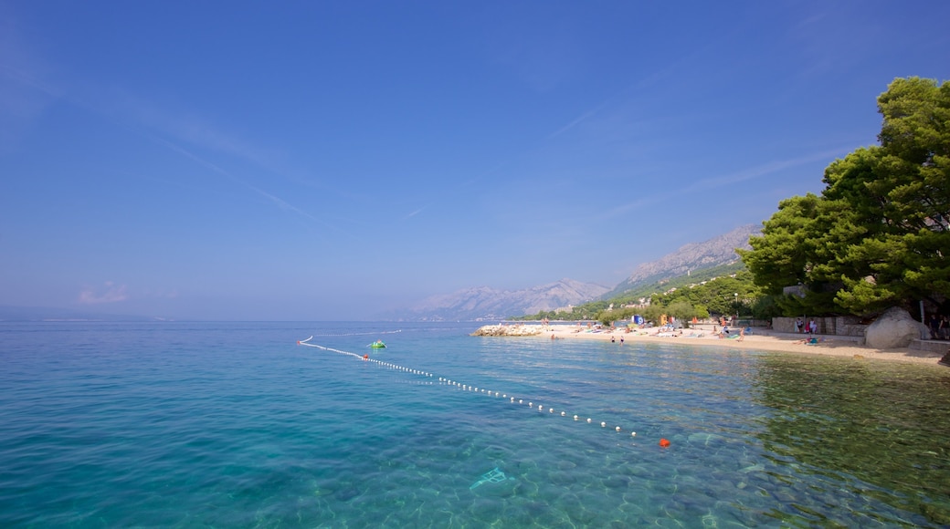 Brela strand som viser kyst