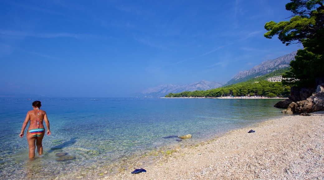 Brela strand fasiliteter samt strand med småstein i tillegg til en kvinne