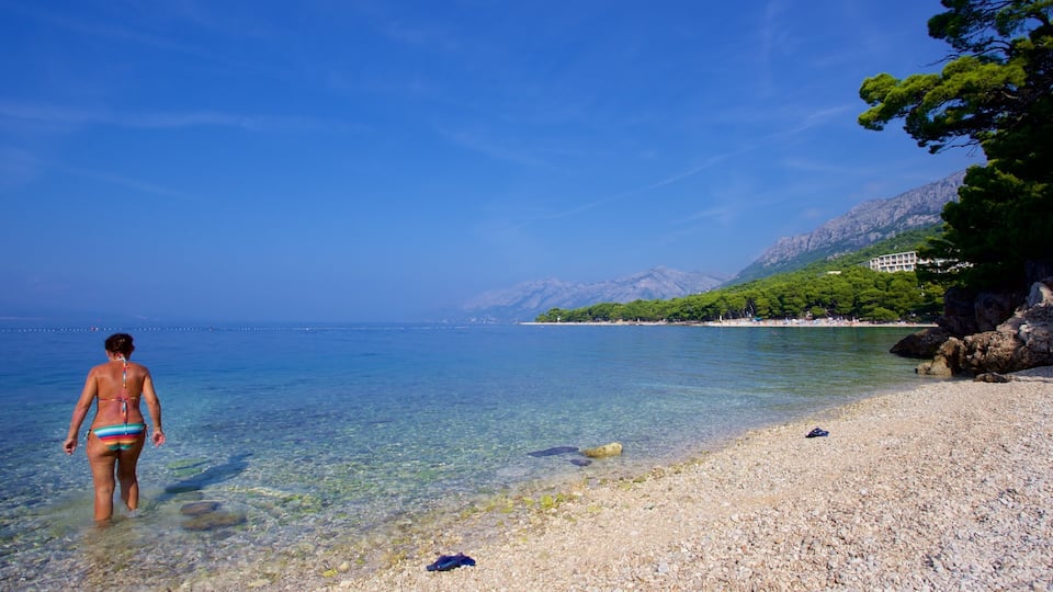 A clear beach with pebbles, a woman in a bikini, and a mountain in the background.