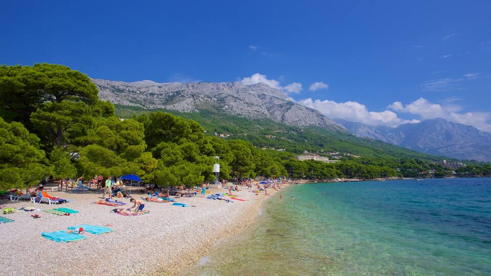 A beach with clear turquoise water, pebbly shore, and lush green trees.