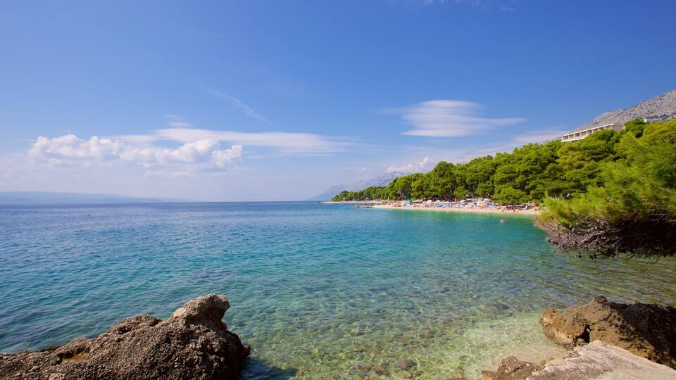 A clear coastal view with turquoise waters, rocky shoreline, and a beach with trees and buildings.